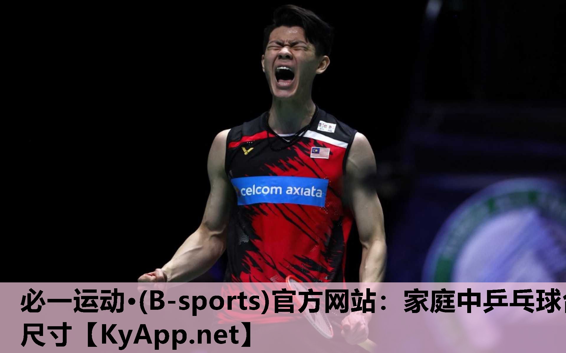 必一运动·(B-sports)官方网站：家庭中乒乓球台尺寸