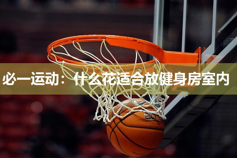 什么花适合放健身房室内